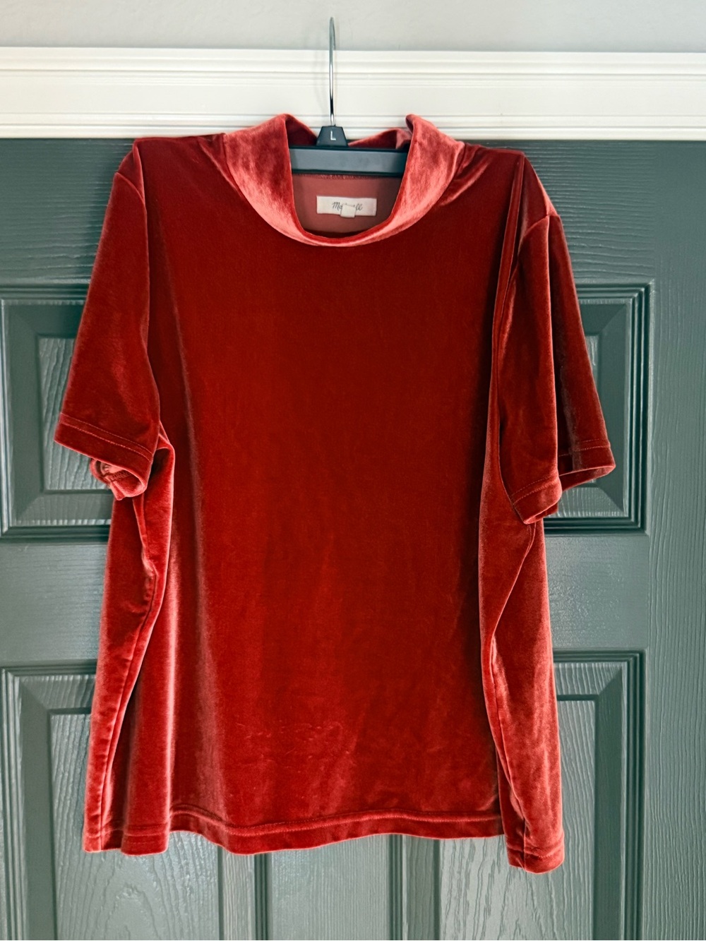 Madewell Short-Sleeve Top in rust red. Fabric looks/feels like velvet.